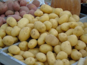 Lezing Aardappelen en Dahlia's - Foto aardappelen
