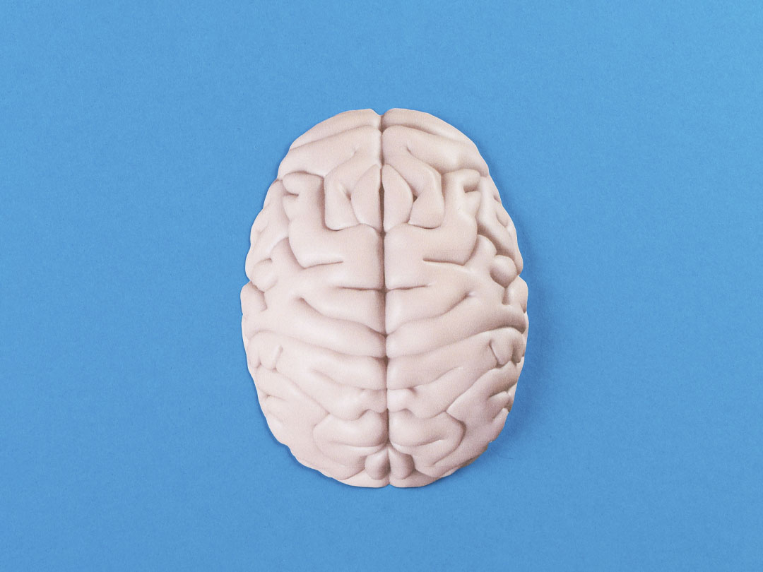 hoe hou je je brein fit? foto brein