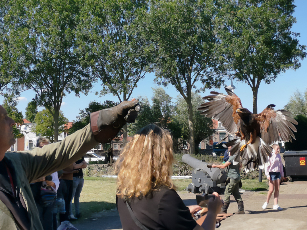 Kasteel Radboud-Birdlive op kasteelplein