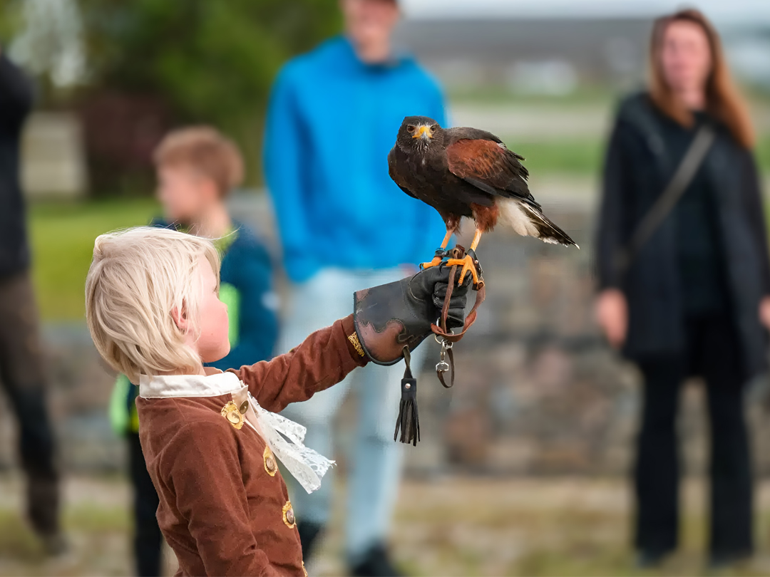 Nuwendoorn Roofvogel foto