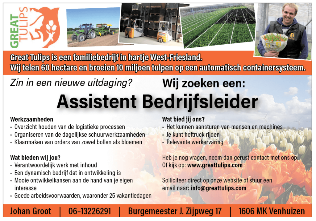 Great Tulips vacature