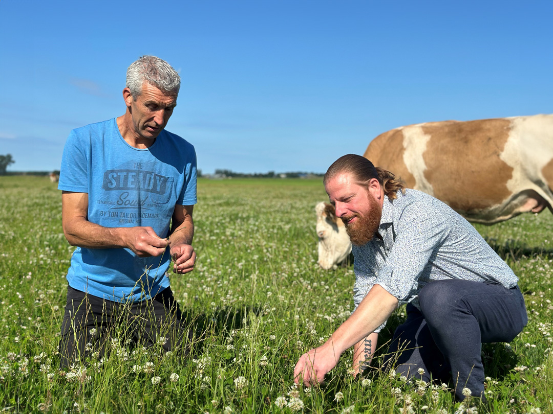 opmeer kruidenrijk grasland