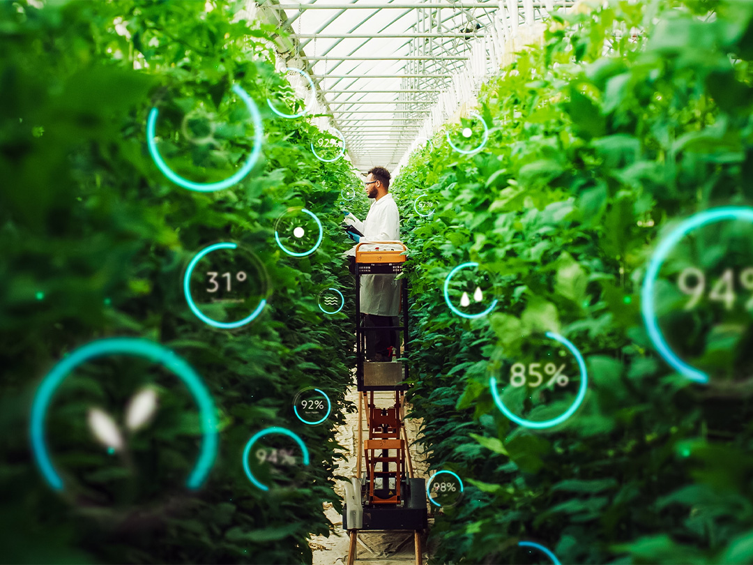 Seed meets Technology mikt dit jaar op de arbeidsmarkt!