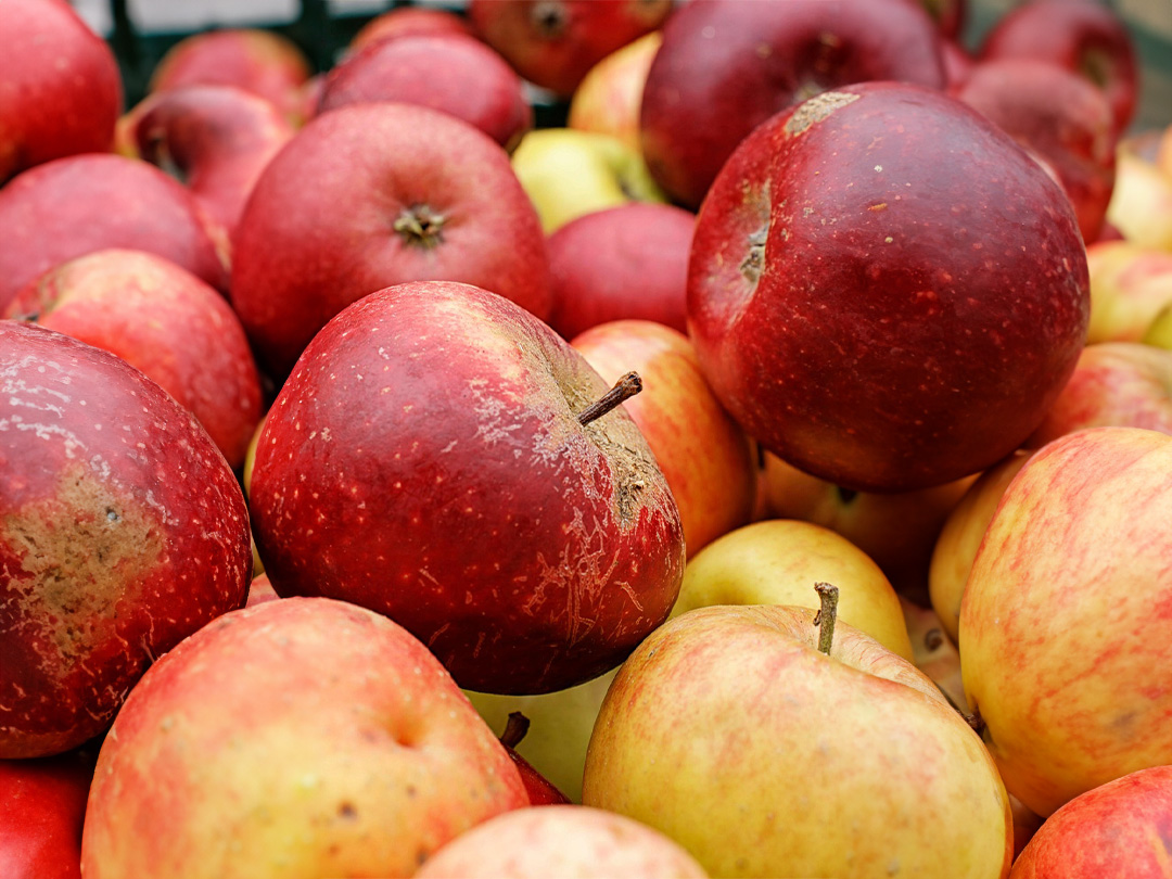 Zoals gebruikelijk wordt op de laatste openingsdag van museum het Huis van Oud!