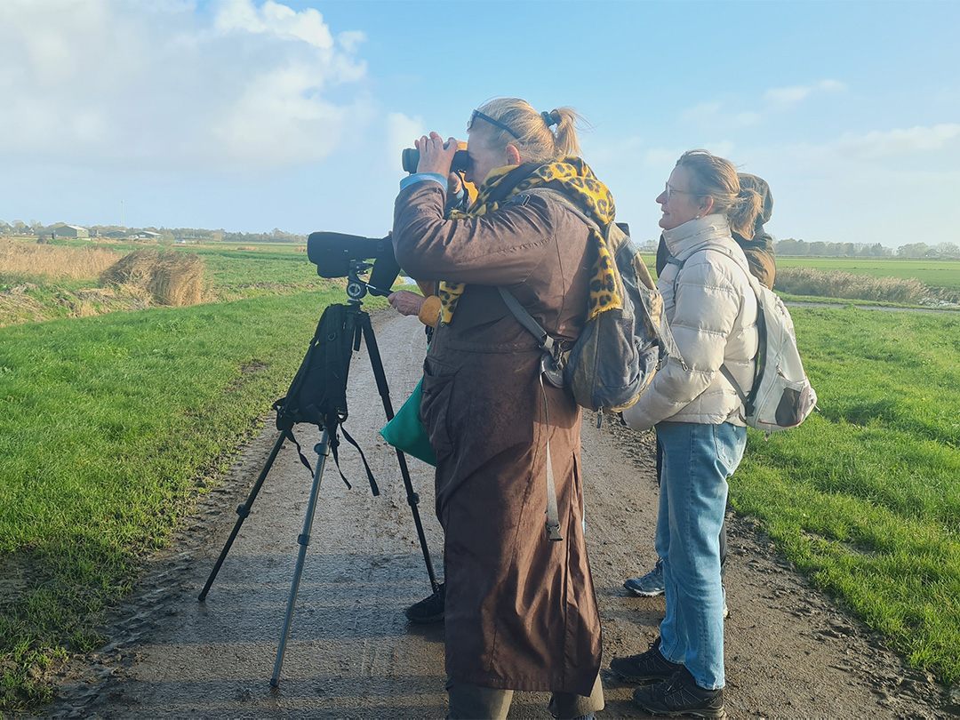 Minicursus Vogels in de Winter van start in Twisk!