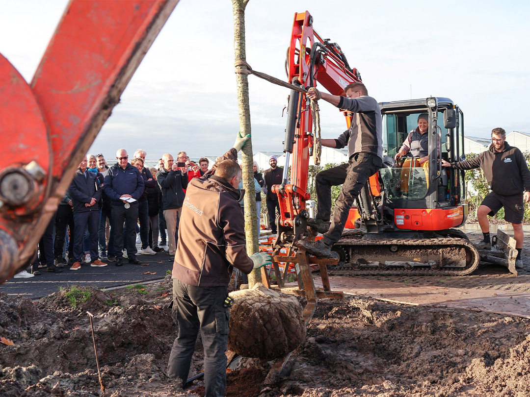 De aanplant van een prachtige Amerikaanse eik markeerde vandaag officieel de start van de nieuwe tuinaanleg!