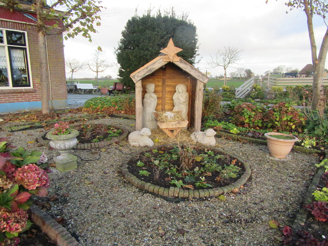 Kom genieten en proeven tijdens de verlichte Kerstroute Koggenland!