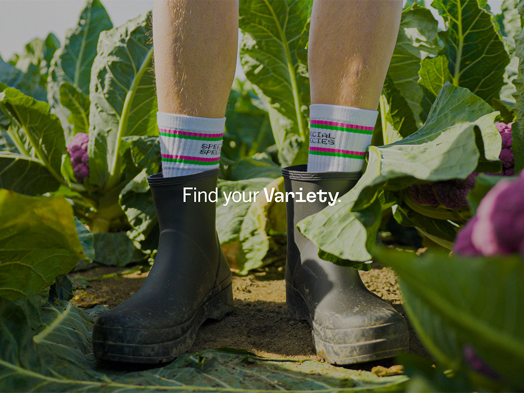 Seed Valley lanceert nieuwe visuele identiteit!