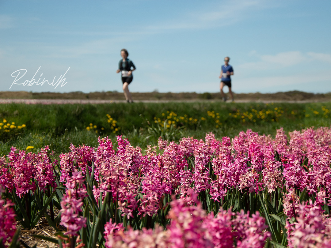 Tulpen Trailrun!
