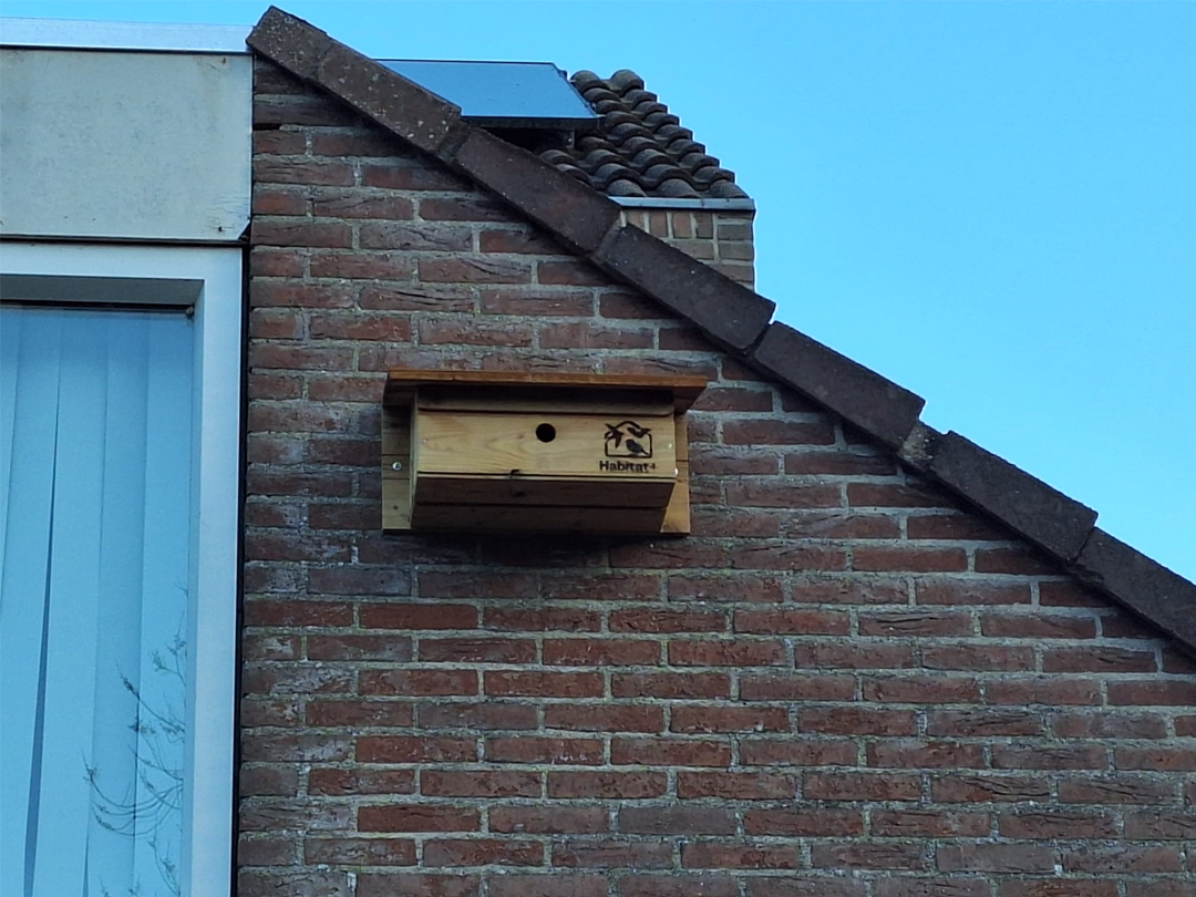 Gemeente Medemblik zoekt adressen voor nestkasten huismus of gierzwaluw
