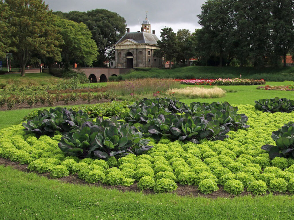 Garden