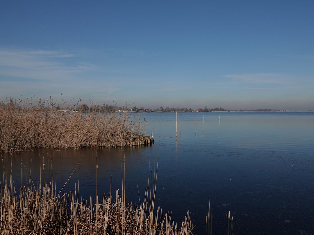Toekomstbestendig Natura 2000-beheerplan IJsselmeergebied vraagt doorkijk naar lange termijn
